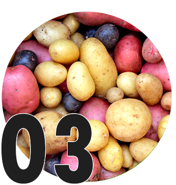 Circle icon for number 03 with potato background